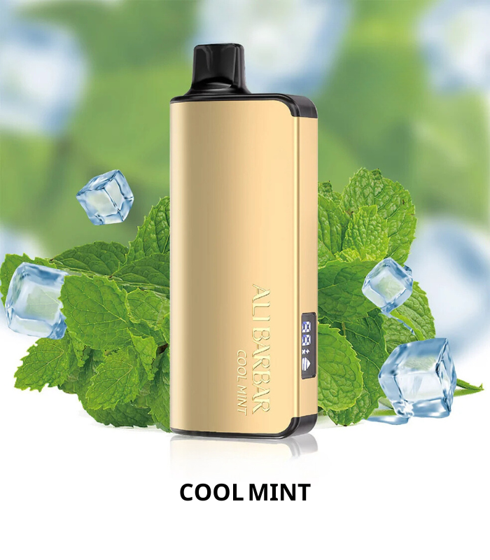 ALIBARBAR INGOT-9000 PUFFS 10pcs